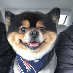 Meet your Posher, Stacy